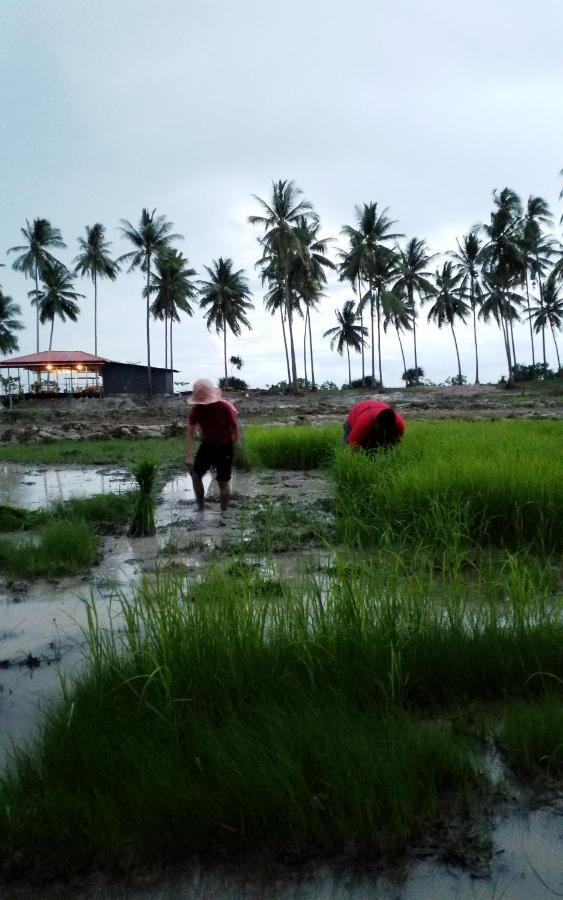Отель I - Talay Taling Ngam Samui - เขา ป่า นา เล ตลิ่งงาม สมุย Экстерьер фото