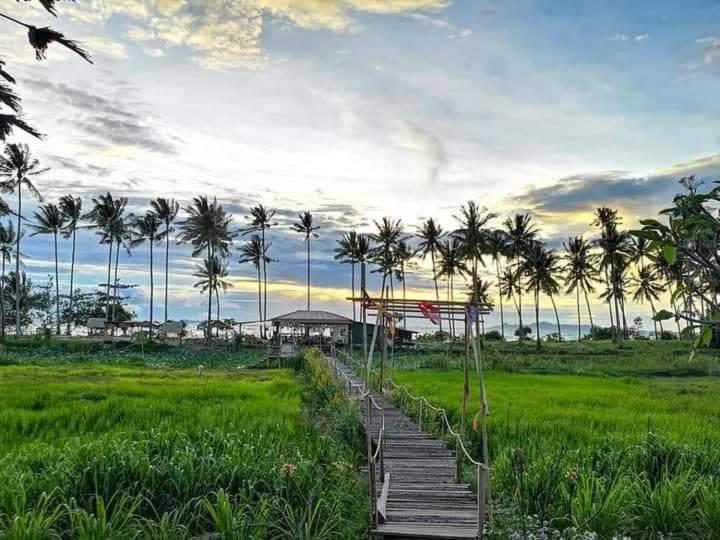 Отель I - Talay Taling Ngam Samui - เขา ป่า นา เล ตลิ่งงาม สมุย Экстерьер фото