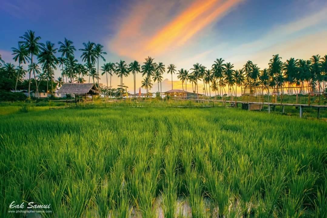 Отель I - Talay Taling Ngam Samui - เขา ป่า นา เล ตลิ่งงาม สมุย Экстерьер фото